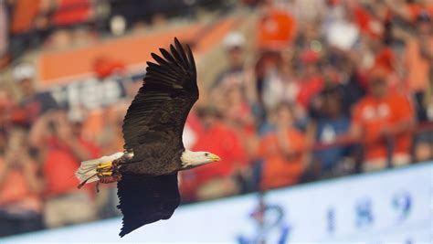 auburn war eagle radio|wareagle auburn.